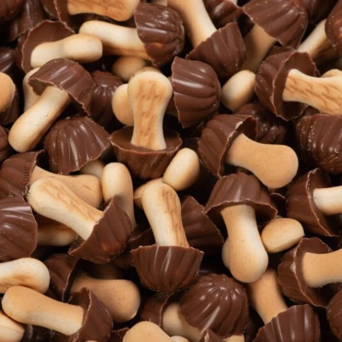 Lozano Champignons au Chocolat – Snack Croquant & Chocolaté
